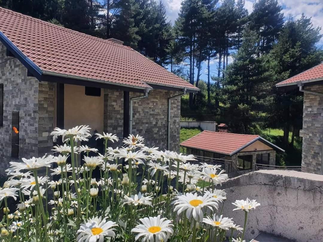 Ваканционна Къща ,,Родопски Уют " Dospat Zimmer foto